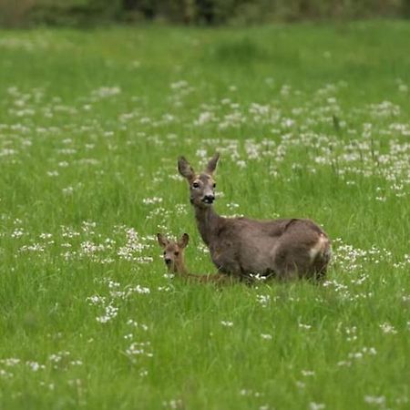 Het Appense Veld Leilighet Klarenbeek Eksteriør bilde